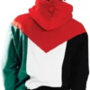 Palestine Flag Hoodie