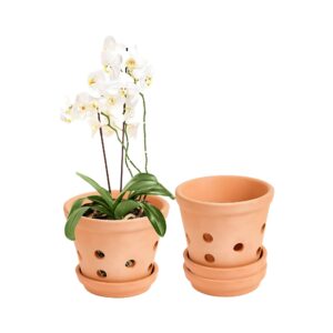 terracotta orchid pots clay planters with saucers indoor outdoor plants