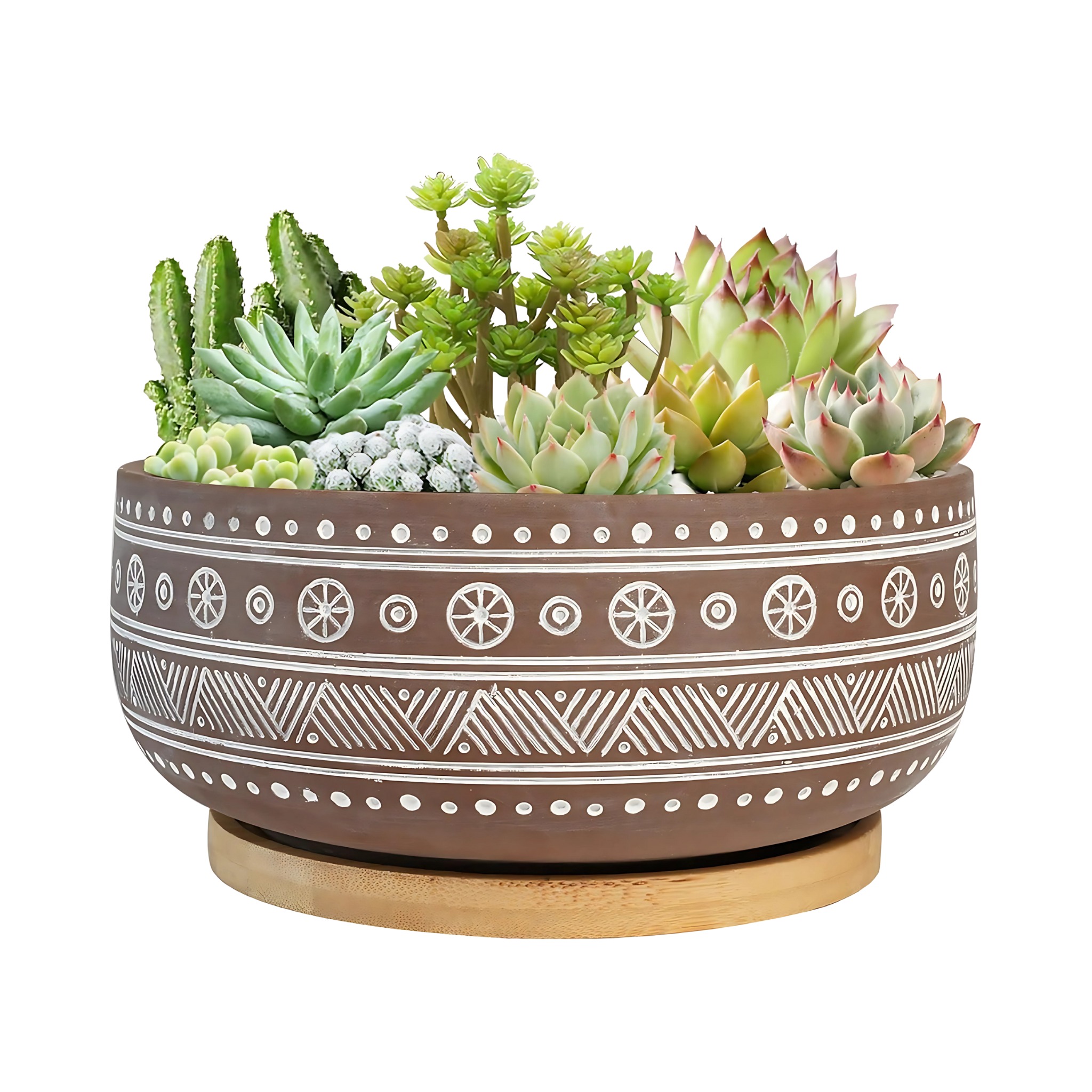 terracotta succulent planter pot with drainage and bamboo tray
